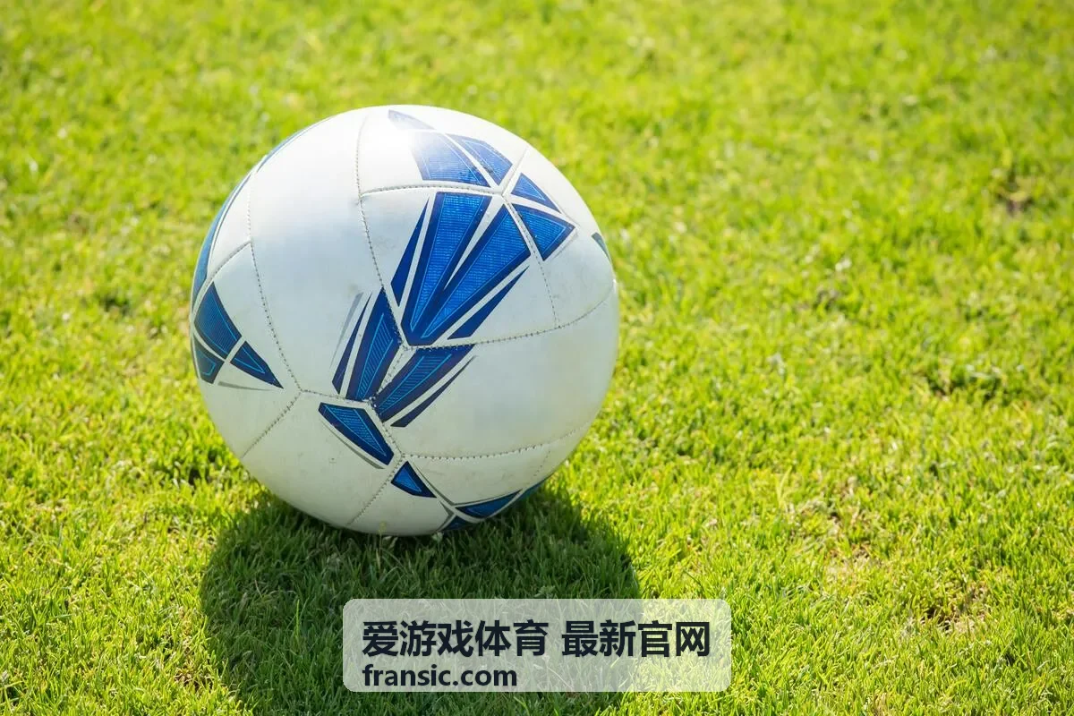 爱游戏体育 最新官网会员等级权益栏目配图