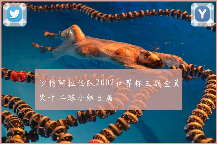 沙特阿拉伯队2002世界杯三战全负失十二球小组出局