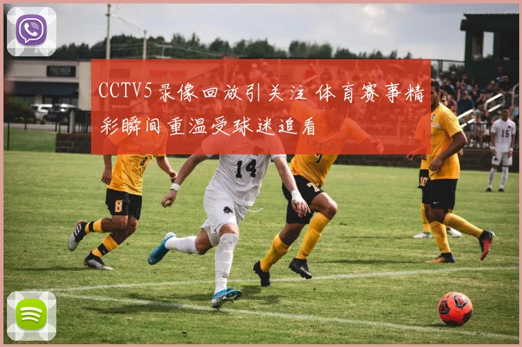 CCTV5录像回放引关注 体育赛事精彩瞬间重温受球迷追看